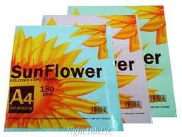 5. Bìa Giấy Sun Flower A4 180gsm 100 Tờ/ Xấp – Hồng