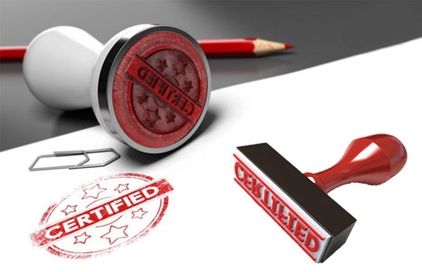 Các Loại Con Dấu: Hướng Dẫn Phân Biệt và Lựa Chọn Phù Hợp